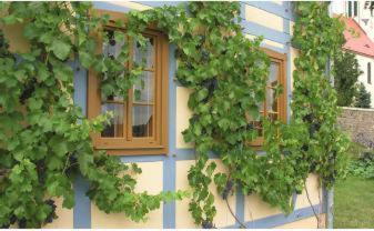 In Der Alten Weinstube フライタール エクステリア 写真