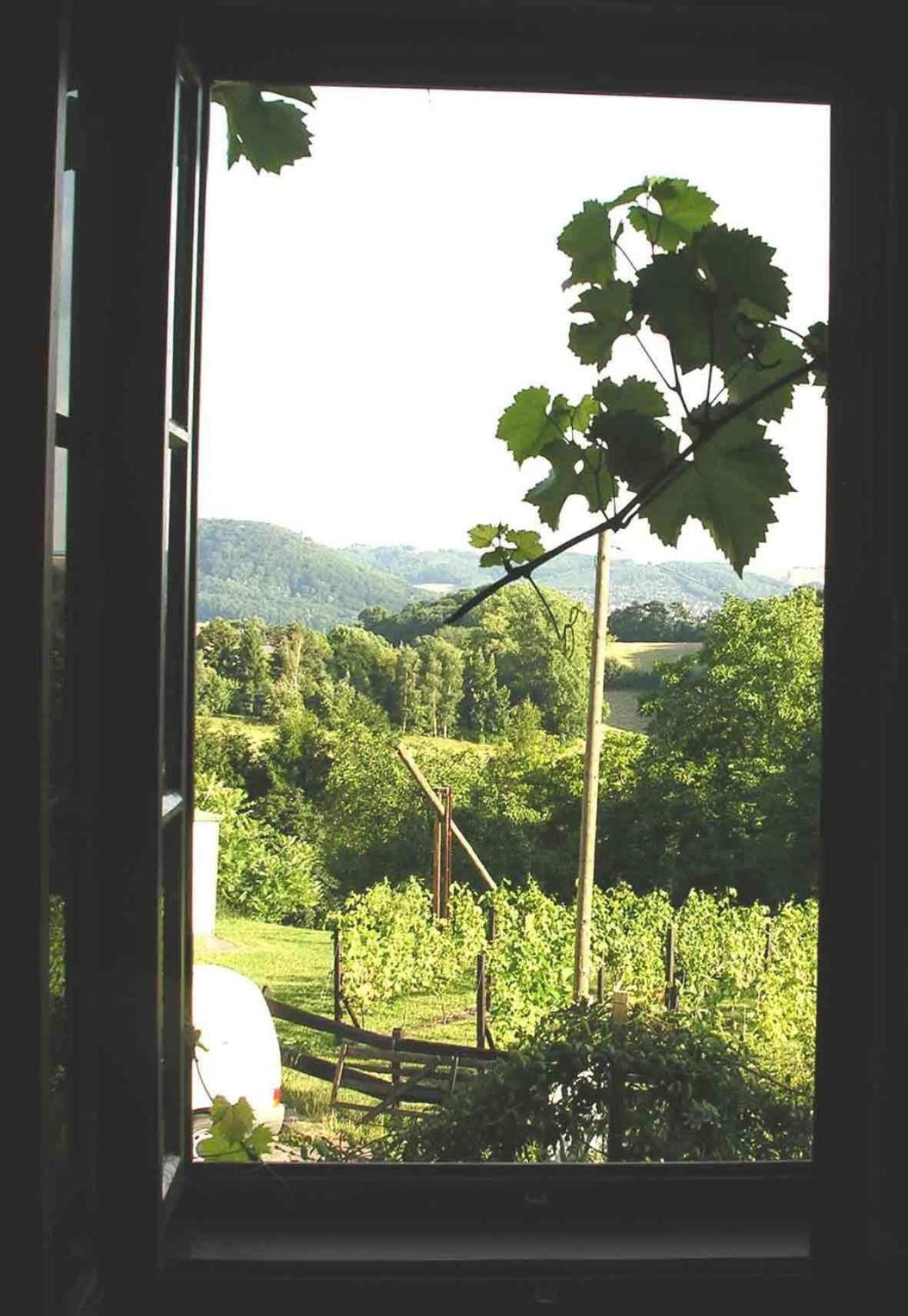 In Der Alten Weinstube フライタール エクステリア 写真